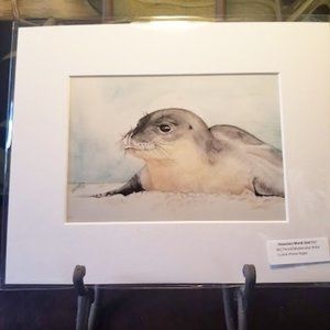 Monk Seal-Watercolor Pencil Print - Matted to 8x10